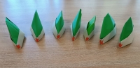1 (13)