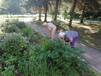 IMG_20250710_075826