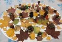 WhatsApp Image 2025-10-15 at 11.41.55