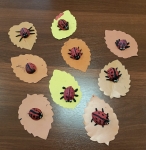 WhatsApp Image 2025-10-24 at 12.13.37 WhatsApp Image 2025-10-24 at 12.13.37